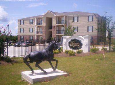 The Belmont Apartment Homes Apartment In Hattiesburg Ms